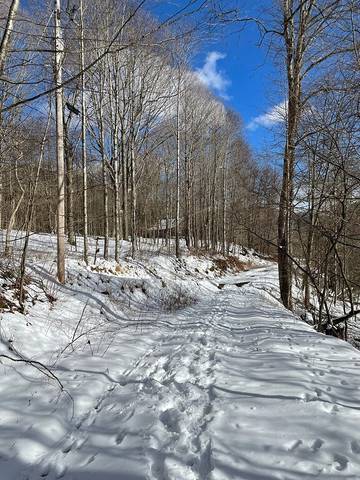 Log Cabin for 6 Guests in Greenbrier River, Pocahontas County, Picture 1
