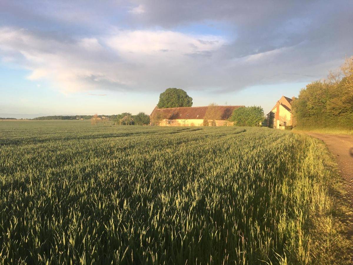 Le Grand Coudreau in Nazelles-Négron, Région de Tours