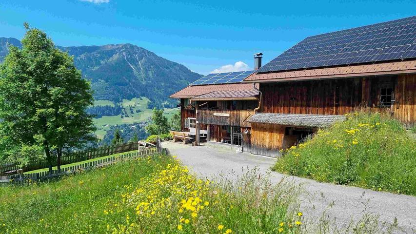 Ferienhaus für 16 Personen, mit Balkon und Terrasse sowie Garten in Blons