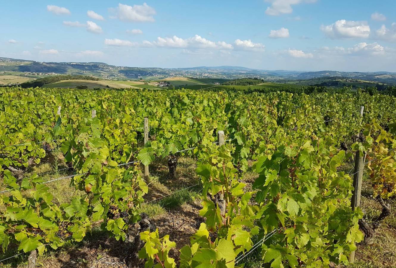 Bed and Breakfast 'Chambre Rose' with Mountain View, Shared Terrace and Wi-Fi in Beaujolais