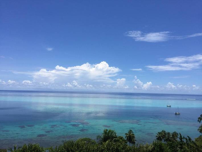 Chambre d’hôte pour 4 personnes, avec piscine ainsi que jardin et vue dans Ha'apiti - 4