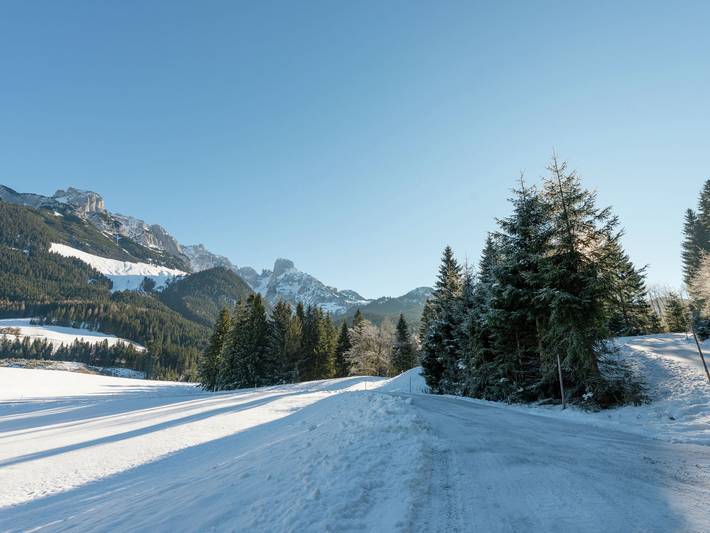 Chalet in Annaberg-Lungötz mit Gemeinschaftspool in Annaberg-Lungötz, Tennengau