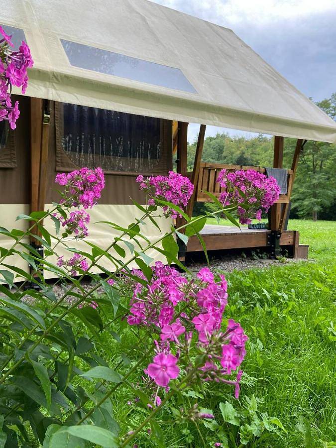 Camping für 6 Personen, mit Ausblick und Garten, mit Haustier in der Ukraine - 2
