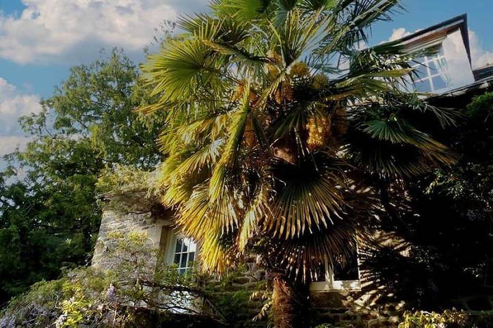 \"Le Palmier\" vacation home in Brittany, close to the sea with a German-speaking family in Plouër-sur-Rance, Región de Dinan