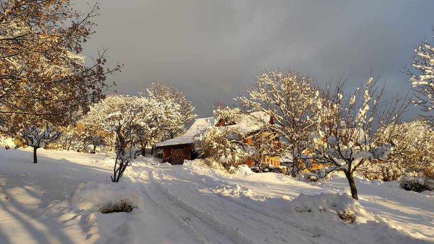 Chalet pour 12 personnes, avec terrasse ainsi que sauna et jardin en Provence-Alpes-Côte d'Azur - 3