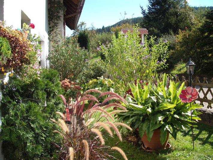 Ferienwohnung für 3 Personen, mit Balkon und Garten in Ettenheim - 3