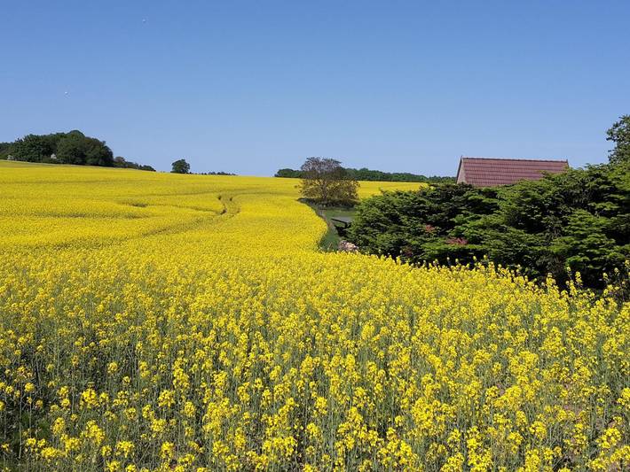 Ferienwohnung für 2 Personen, mit Balkon und Seeblick in Süd-Rügen - 4