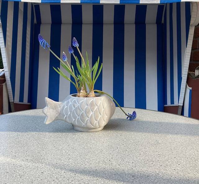 Ferienwohnung für 3 Personen, mit Terrasse in Horumersiel