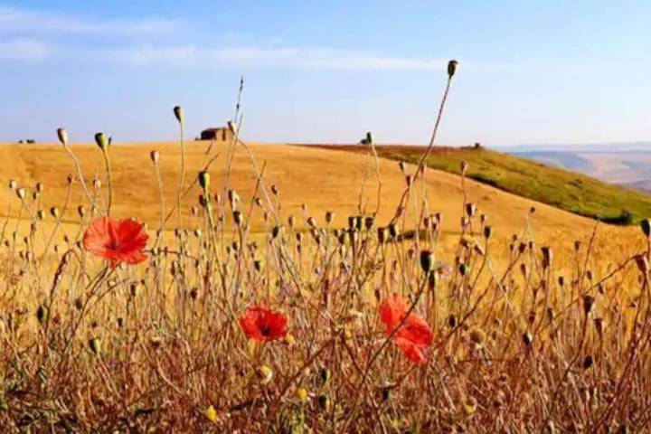 Location de vacances pour 5 personnes, avec balcon et vue à Irsina - 2