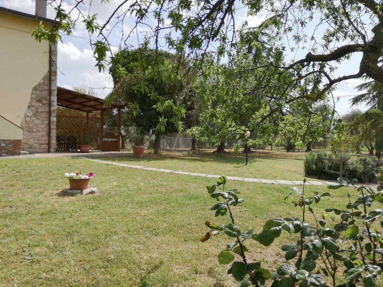 Ganze Wohnung, Two-Bedroom Apartment in Campagnatico, Grosseto Provinz