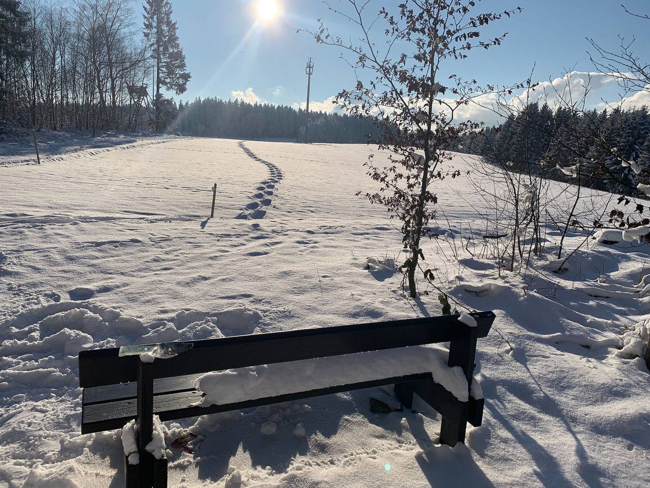 Ganze Ferienwohnung, Geschmackvolle Ferienwohnung 100qm in Schauenstein - Franken - Geschmackvolle Ferienwohnung mit Loggia 100qm in Schauenstein bei Hof, im Frankenwald,max. 5 Personen in Schauenstein, Landkreis Hof