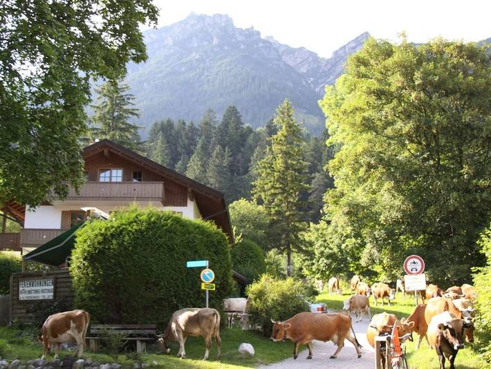 Ferienhaus für 6 Personen, mit Balkon in Garmisch-Partenkirchen - 4