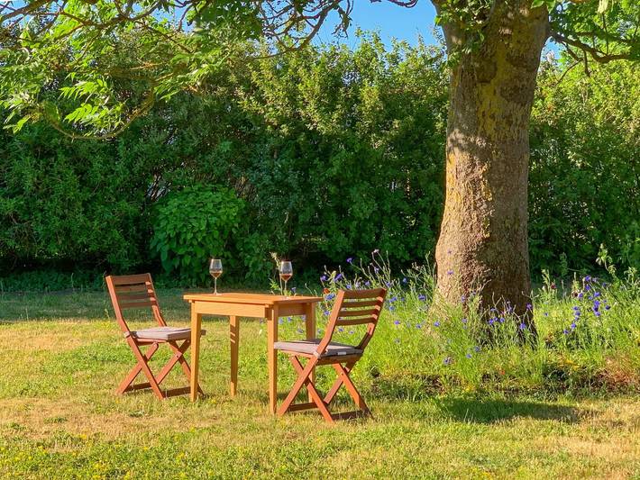 Ferienwohnung für 7 Personen, mit Terrasse und Garten in Gingst - 4