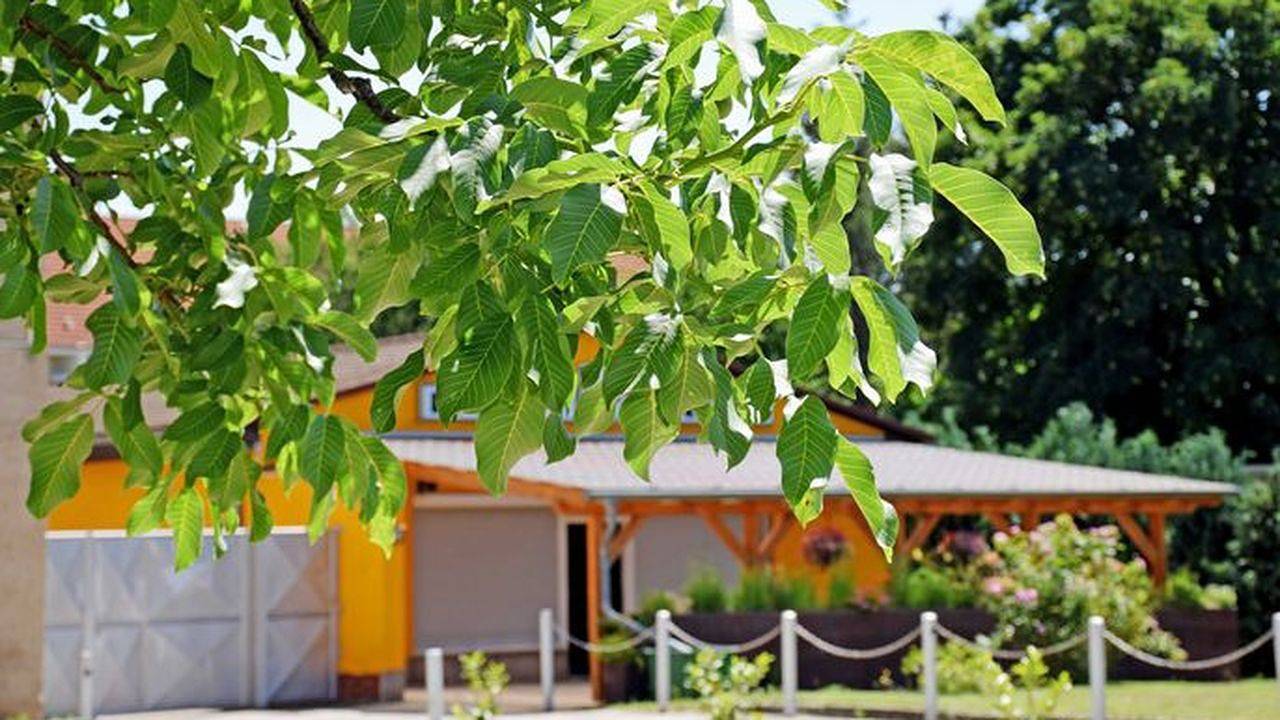 Ganze Ferienwohnung, Ferienwohnung für 2 Personen (15 m²) in Aschersleben in Aschersleben, Region Salzlandkreis