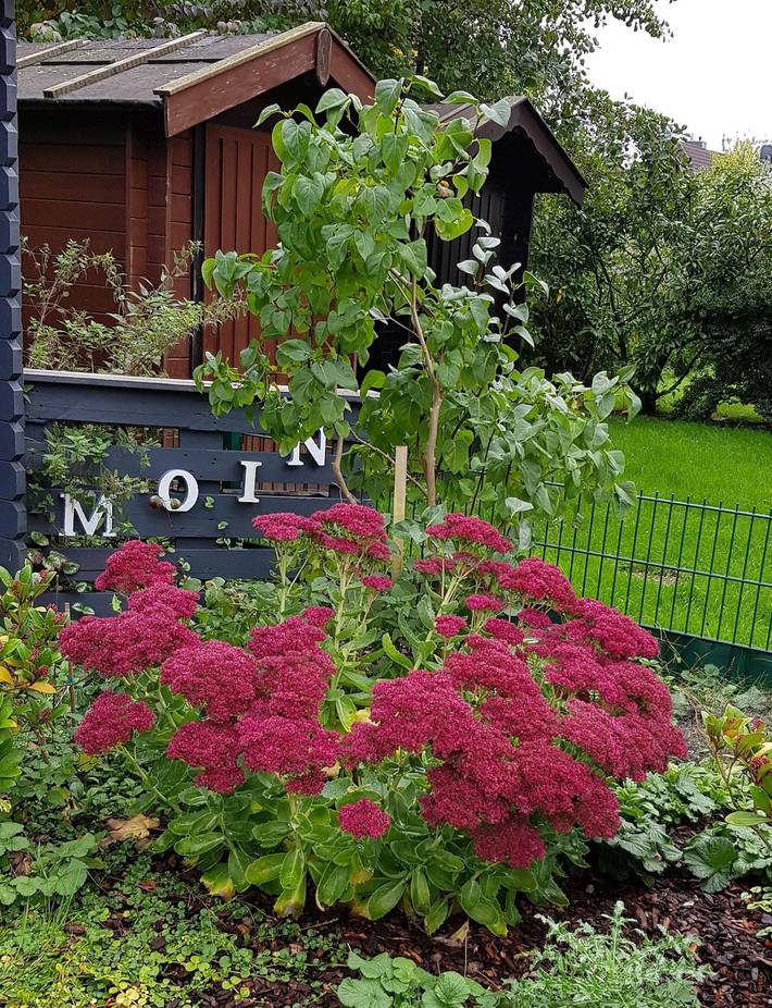 Apartamento vacacional entero, Ferienwohnung Issy Eg in Greetsiel, Krummhörn