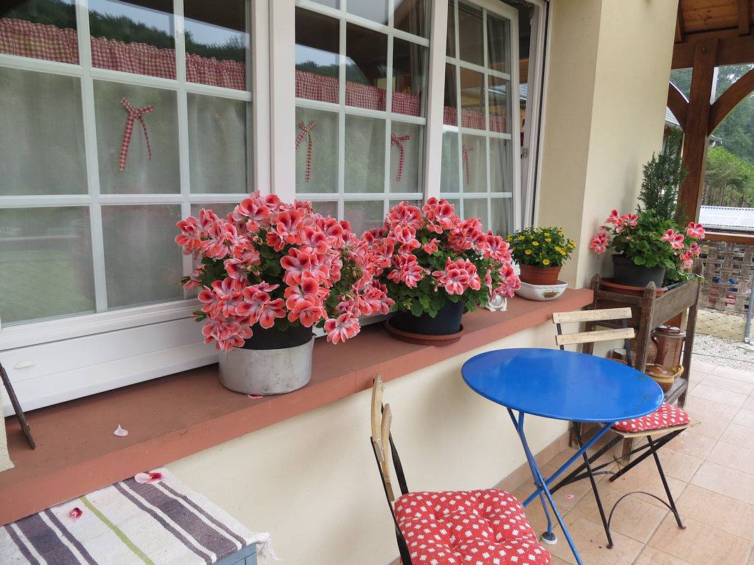 Les Gîtes du Fond-Pitron  -  Gîte Campagne in Saint-Léonard, Région du Havre