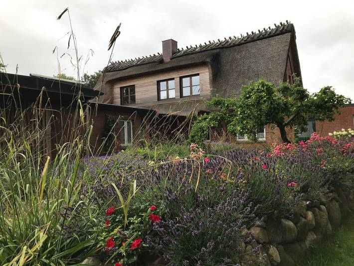 Ferienhaus für 5 Personen, mit Garten und Sauna in Gelting