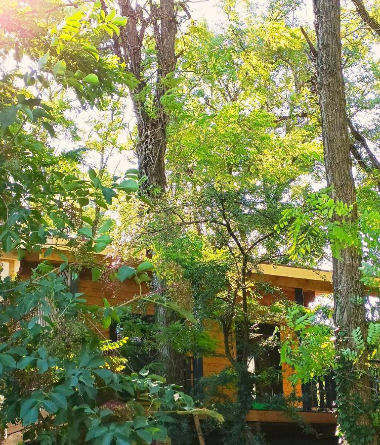Des Branches & Vous in Châteauneuf-sur-Isère, Région de Valence