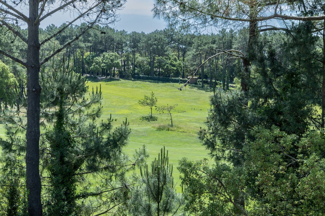 Appartement entier, Joli appartement avec piscine et balcon in Moliets-Plage, Moliets-et-Maa