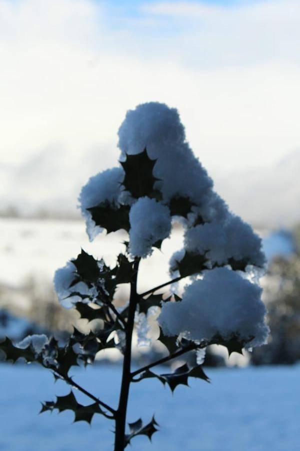Apartamento de vacaciones para 4 personas, con jardín y terraza, Se admiten mascotas en Provincia de Lugo - 2