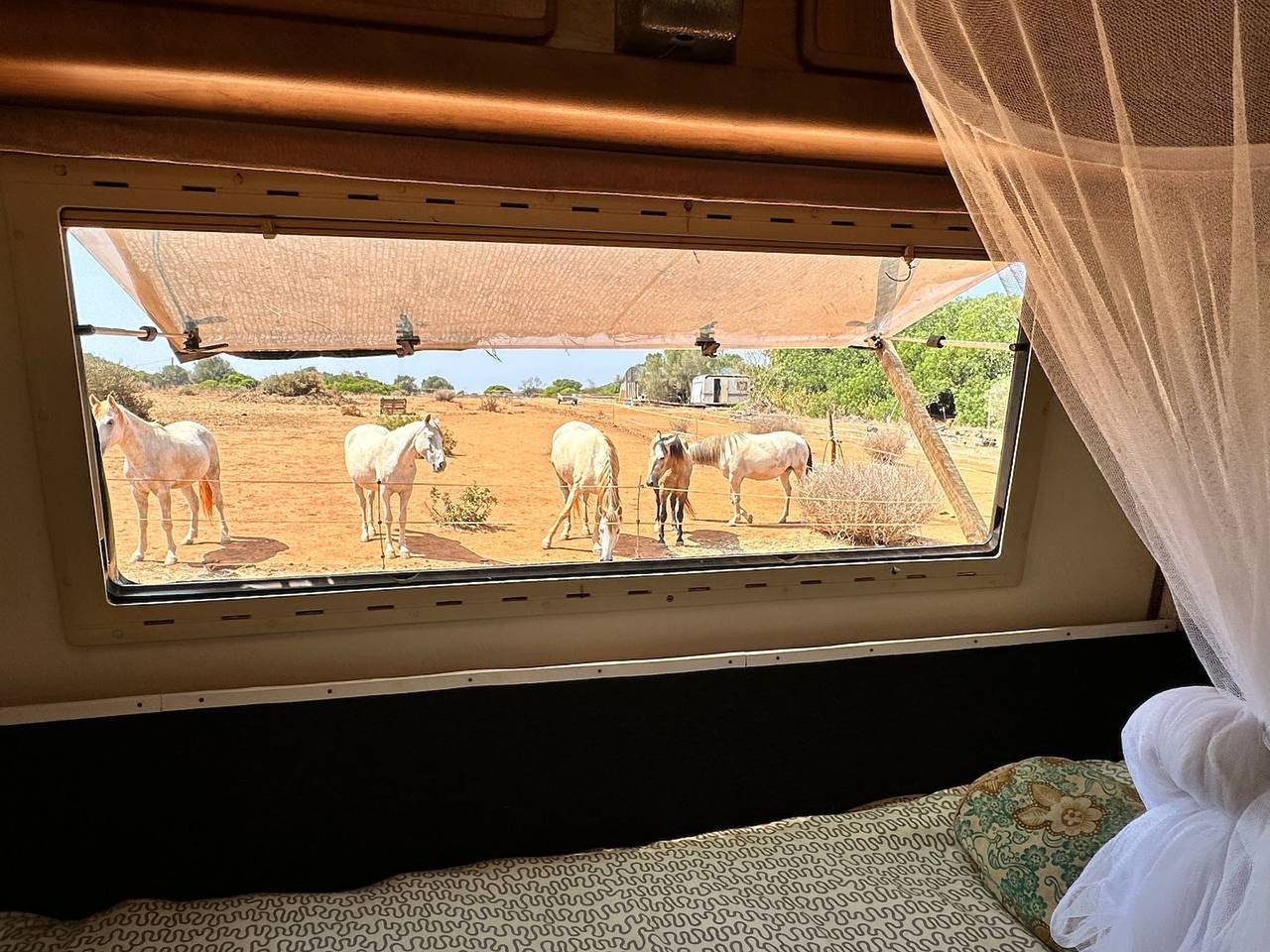 La caravane de Paul pour 4 personnes - Admirez les chevaux depuis votre lit in Barão de São João, Bensafrim e Barão de São João