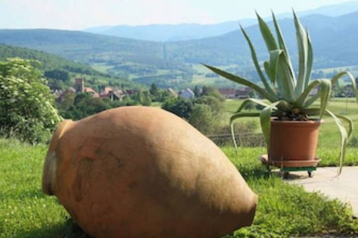 Entire apartment, Gite in the heart of nature with panoramic view n°1 in Osenbach, Parc naturel régional des Ballons des Vosges