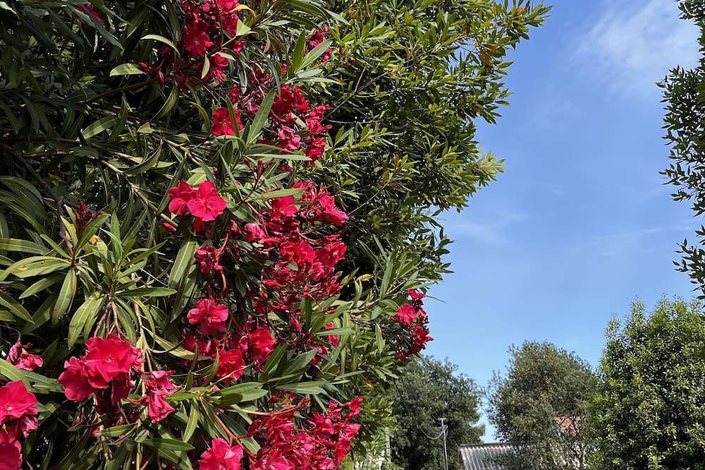Appartamento intero, Beautiful privately furnished holiday flat in Santa Lucia di Moriani, Corte e dintorni