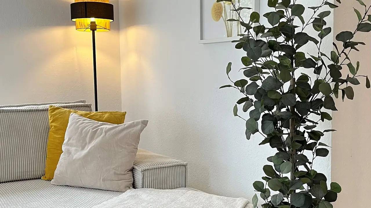 Ganze Ferienwohnung, Ferienwohnung für 3 Personen (60 m²) in Überlingen in Überlingen, Region Bodensee-Oberschwaben
