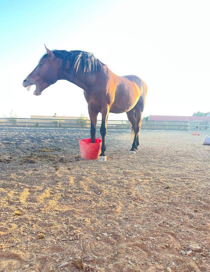 Casa rural para 9 personas, con vistas además de jardín y piscina en Tuineje - 3