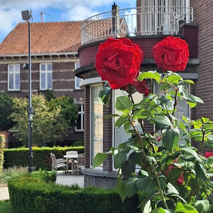 Maison de vacances pour 4 personnes, avec Balcon ainsi que Terrasse et Jardin à Riemst