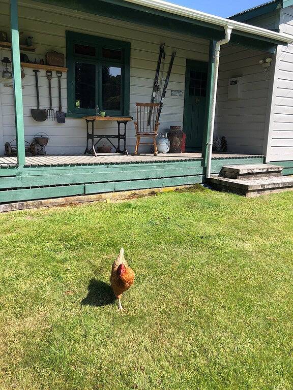 Tongariro Cottage, Niedlich und rustikaler Charme der alten Welt in Ruapehu District