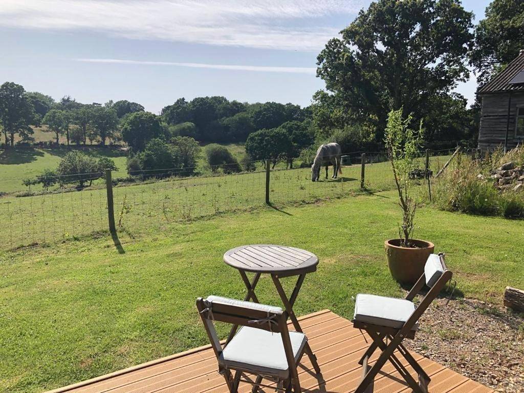 Luxury Shepherds Hut in Bransgore, Hampshire