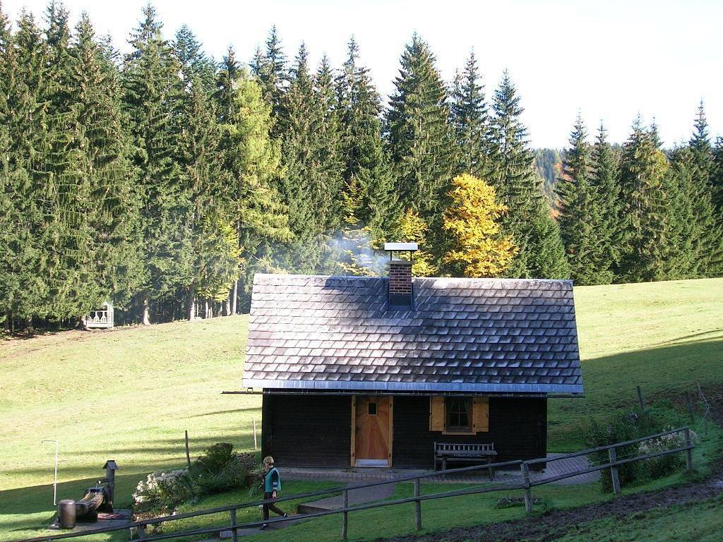 Bauernhaus für 3 Personen mit Ausblick in Spital am Pyhrn, Kirchdorf an der Krems (Bezirk)