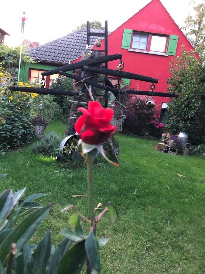 BnB für 2 Personen, mit Terrasse und Garten in Zingst