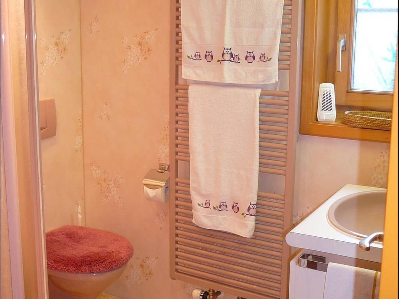 Ganze Wohnung, Chalet Birkli in Wengen, Lauterbrunnen