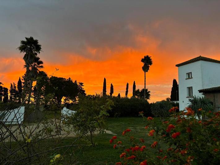 Gîte pour 2 personnes, avec vue ainsi que piscine et jardin à Conil de la Frontera - 3