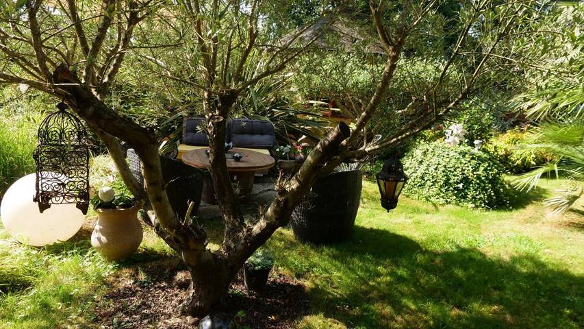Gîte pour 4 personnes, avec jardin, animaux acceptés à Pau - 4