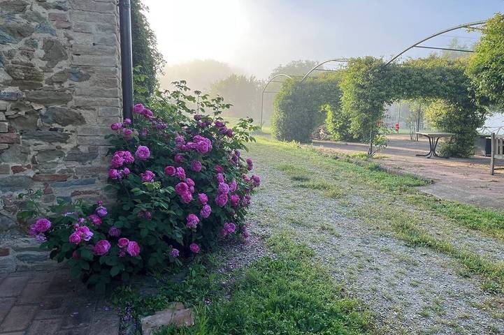 Rifugio San Michele 1 in Marsciano, Perugia Province