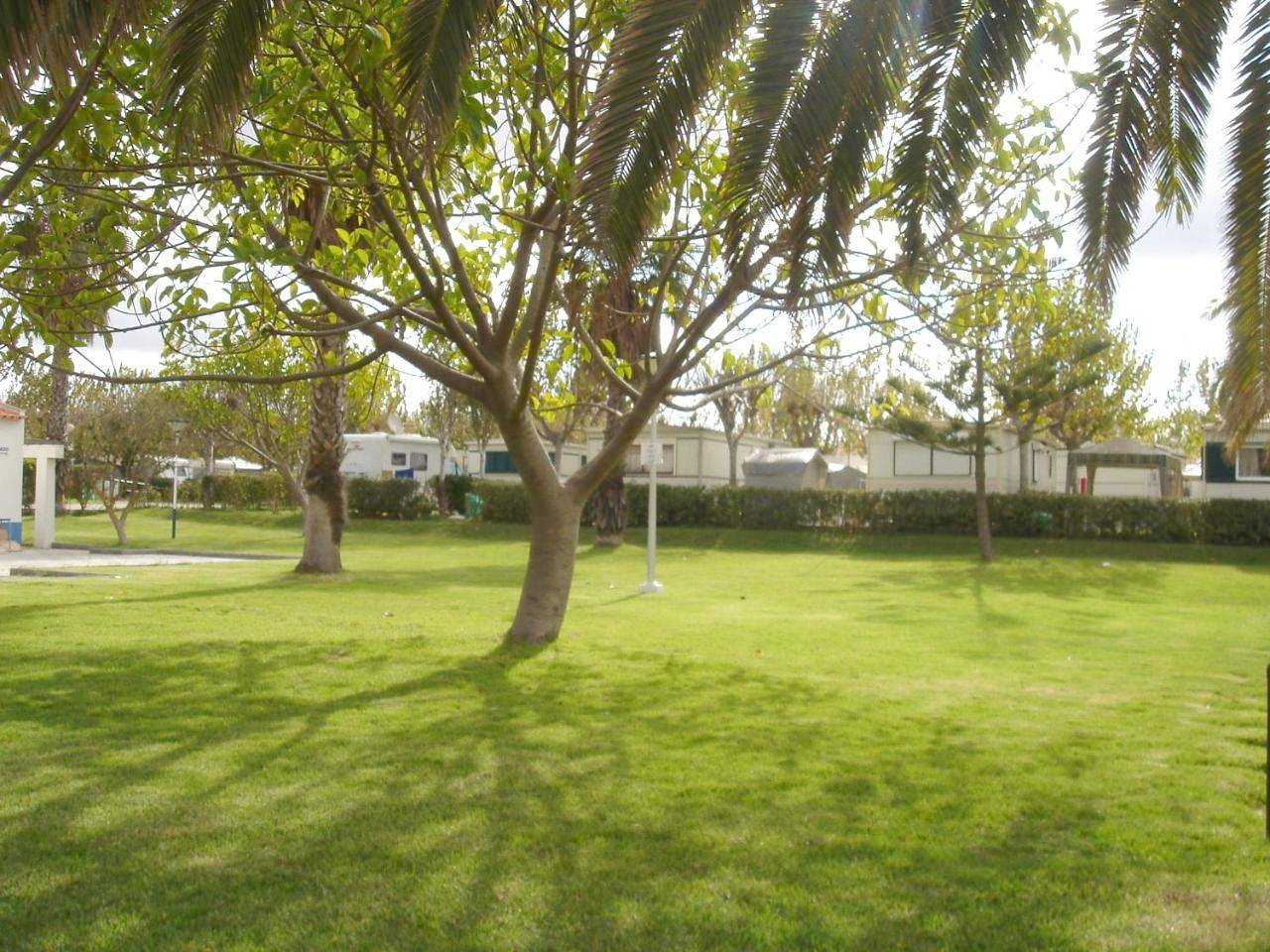 Parque Campismo Porto Côvo in Porto Covo, Costa Alentejana