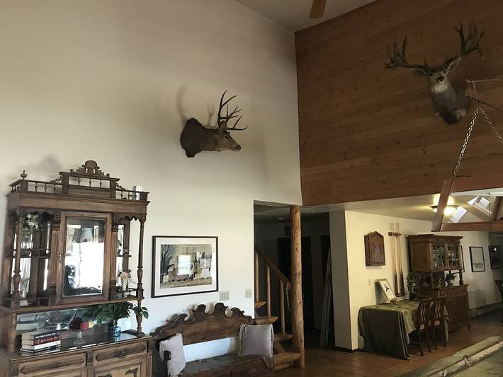 Vacation rental for 40 people, with yard, with pets in Utah