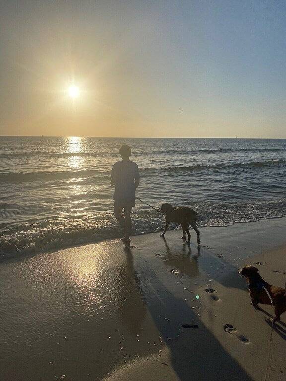 Ganze Wohnung, Mermaid Cottage | Fire Pit | No Pet Fee in Port St. Joe, Emerald Coast