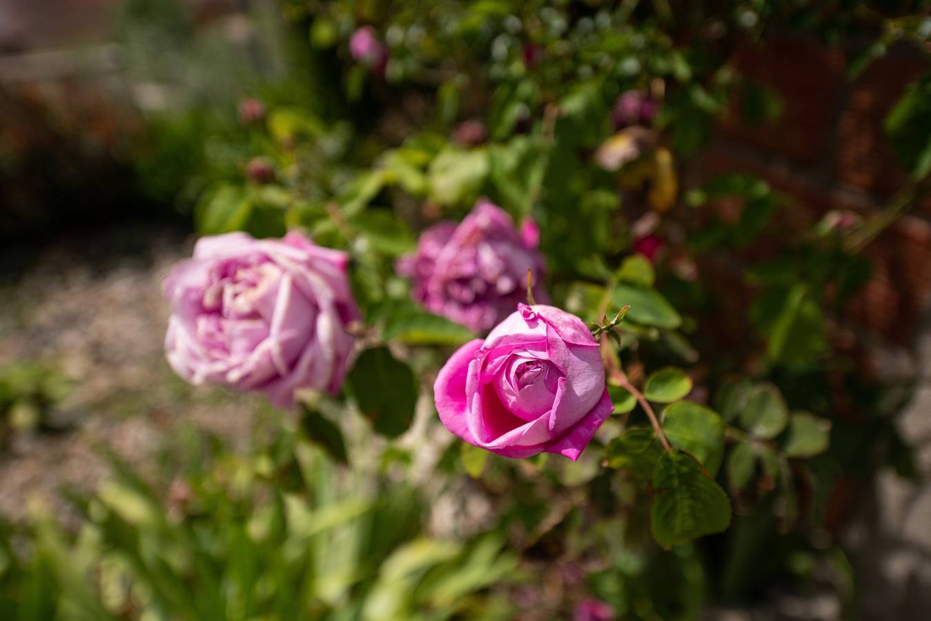 Ferienhaus 'Monolocale Il Girasole' in Stadtzentrumnähe mit Garten und Klimaanlage in Villaputzu, Cagliari Provinz