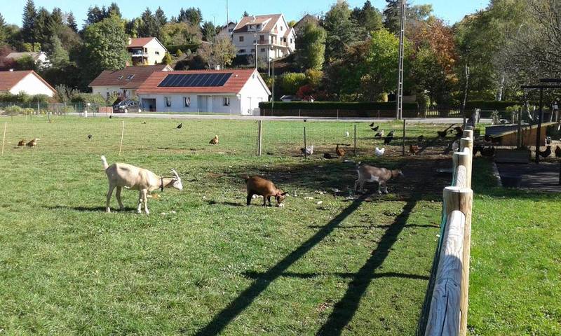 Chambre d’hôte pour 3 personnes, avec jardin et vue à Crotenay