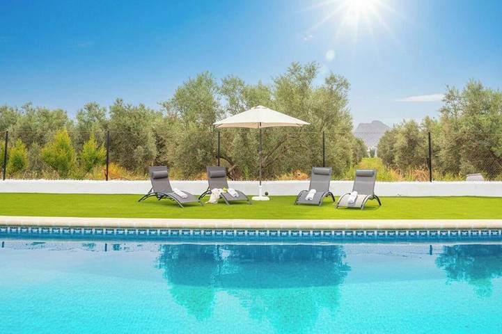 Villa for 12 people, with garden - 1