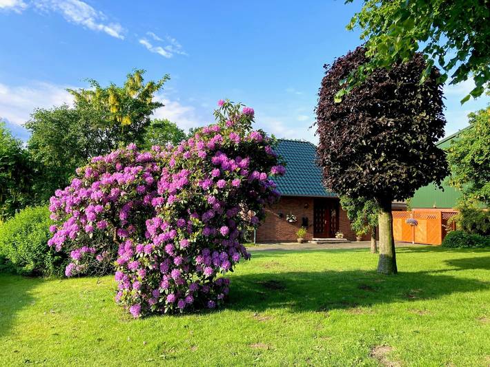 Ferienhaus für 5 Personen, mit Garten, kinderfreundlich in Dithmarschen - 4
