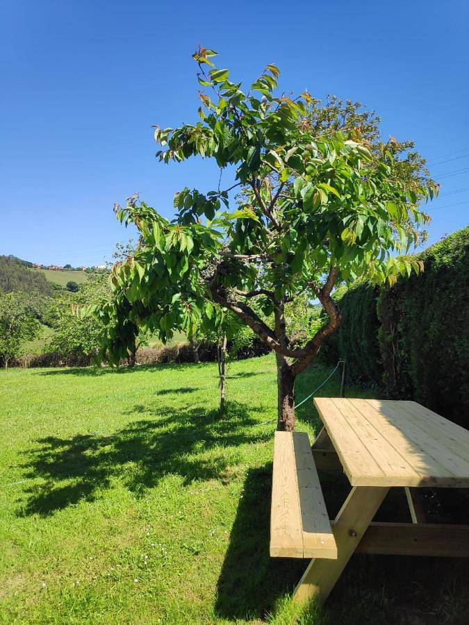 Casa rural para 6 personas, con jardín en Gijón - 2