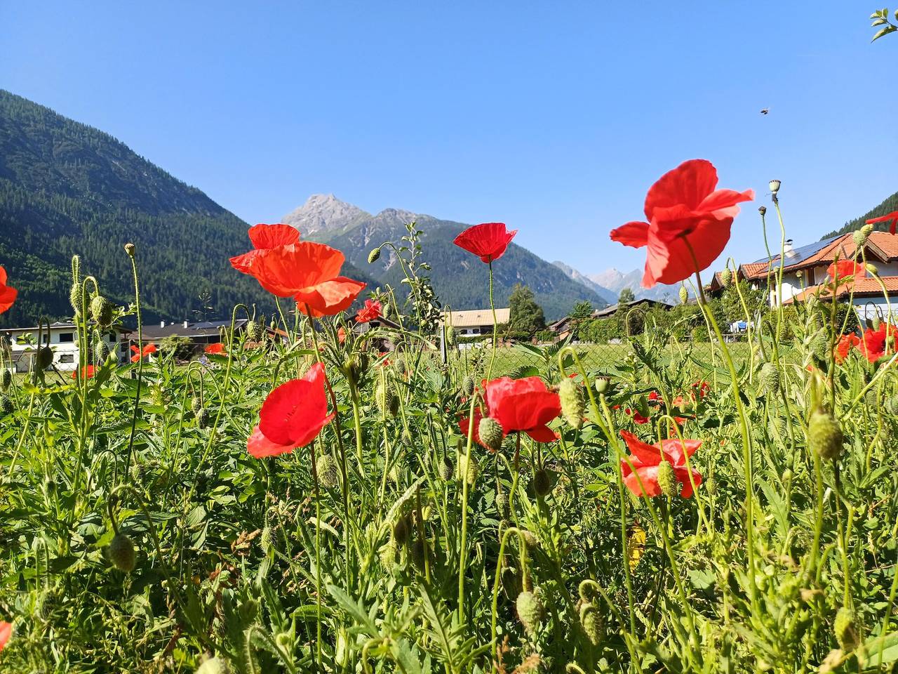 Ganze Ferienwohnung, Ferienwohnung Lichtspitz in Häselgehr, Allgäuer Alpen (Österreich)