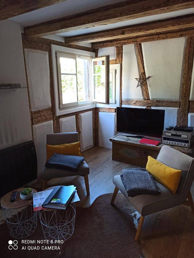 Location de vacances pour 6 personnes, avec vue à Eguisheim - 4