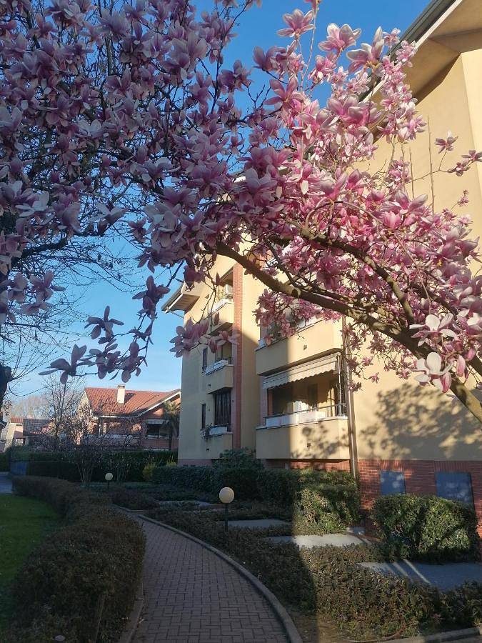 Maison d’hôte pour 3 personnes, avec jardin et vue dans Lombardie - 4