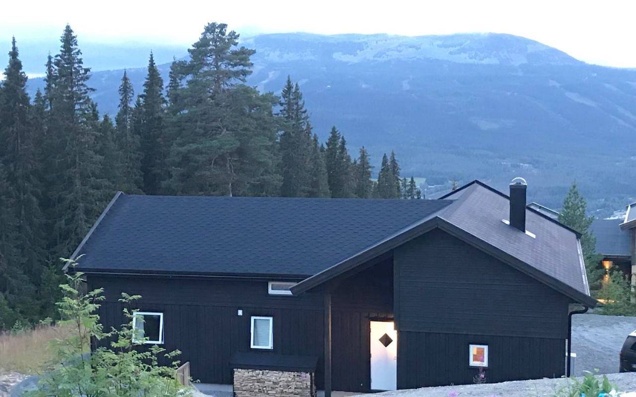Lillebjørn in Trysilfjellet, Trysil